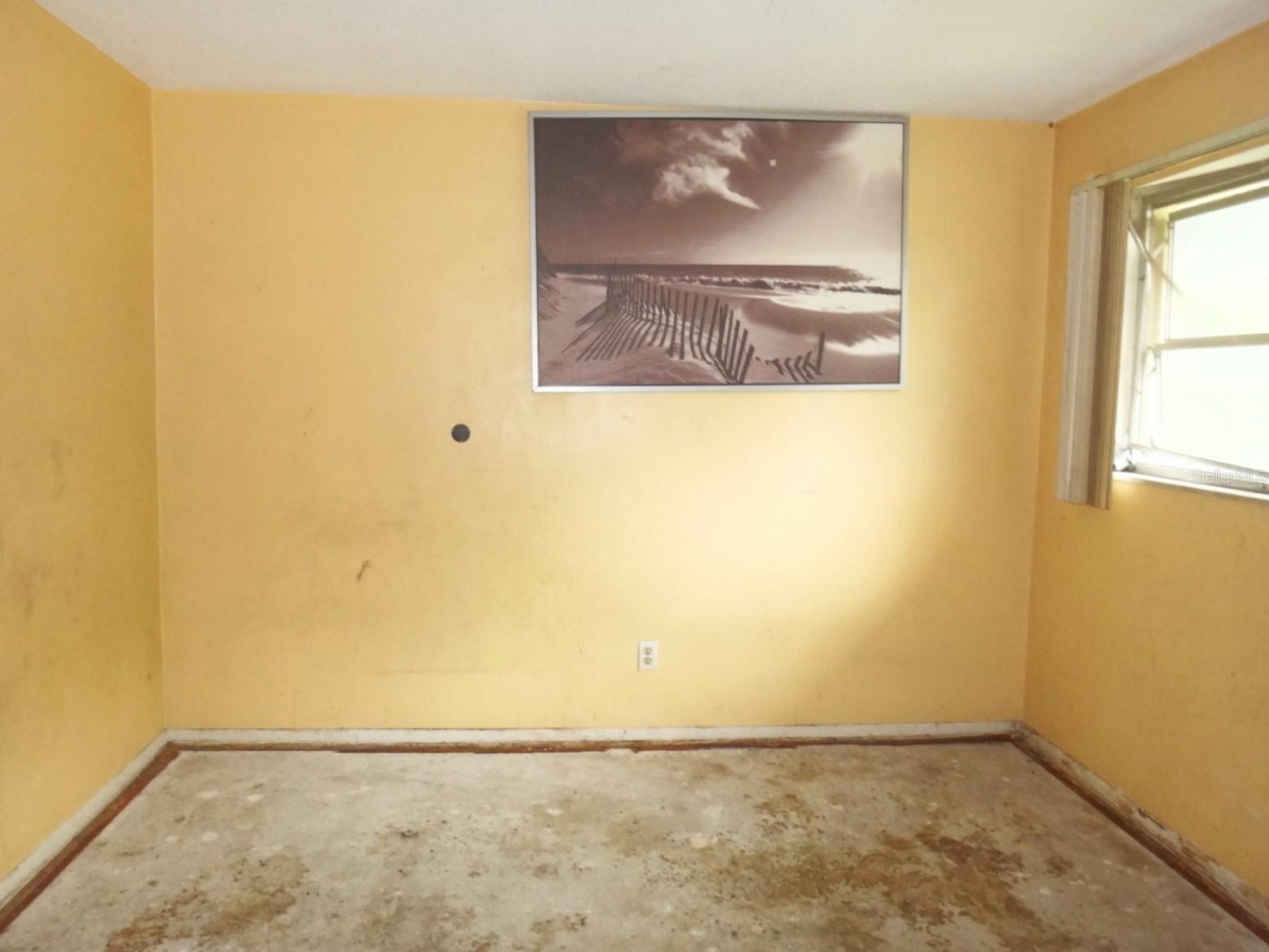 1913 Kings Highway Clearwater FL 33755 TB8516963 image20