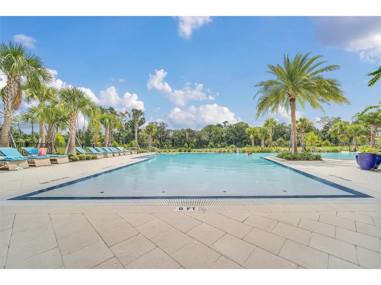 1913 Seawall Way Celebration FL 34747 S5142465 image25
