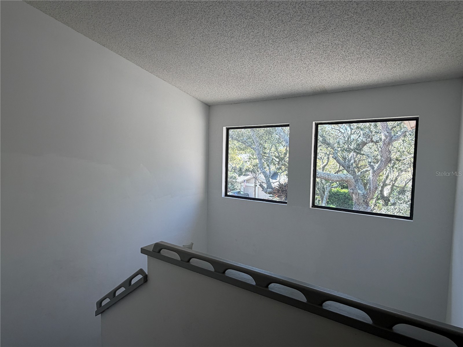 1913 Whispering Way Tarpon Springs FL 34689 W7883425 image13