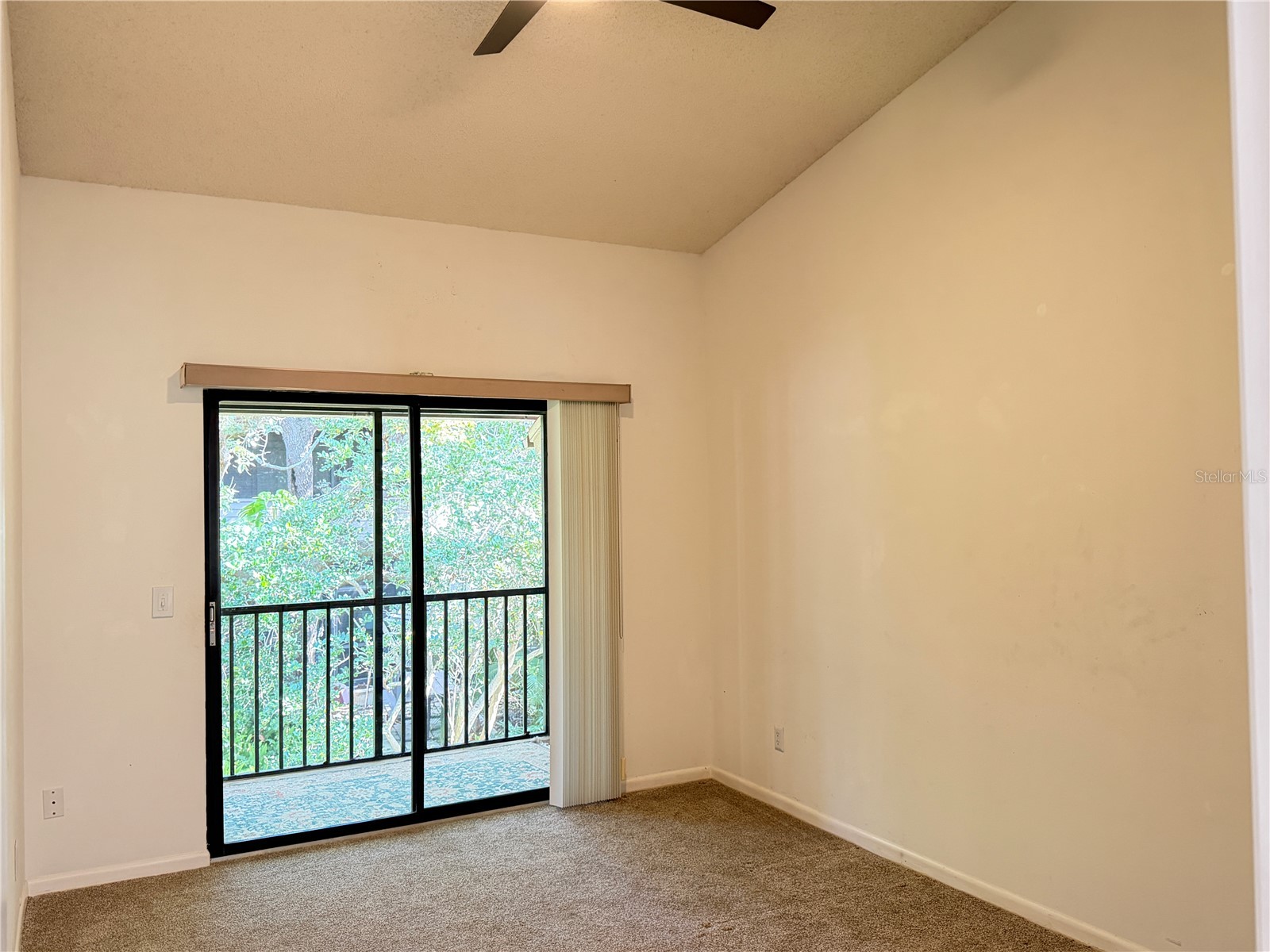 1913 Whispering Way Tarpon Springs FL 34689 W7883425 image14