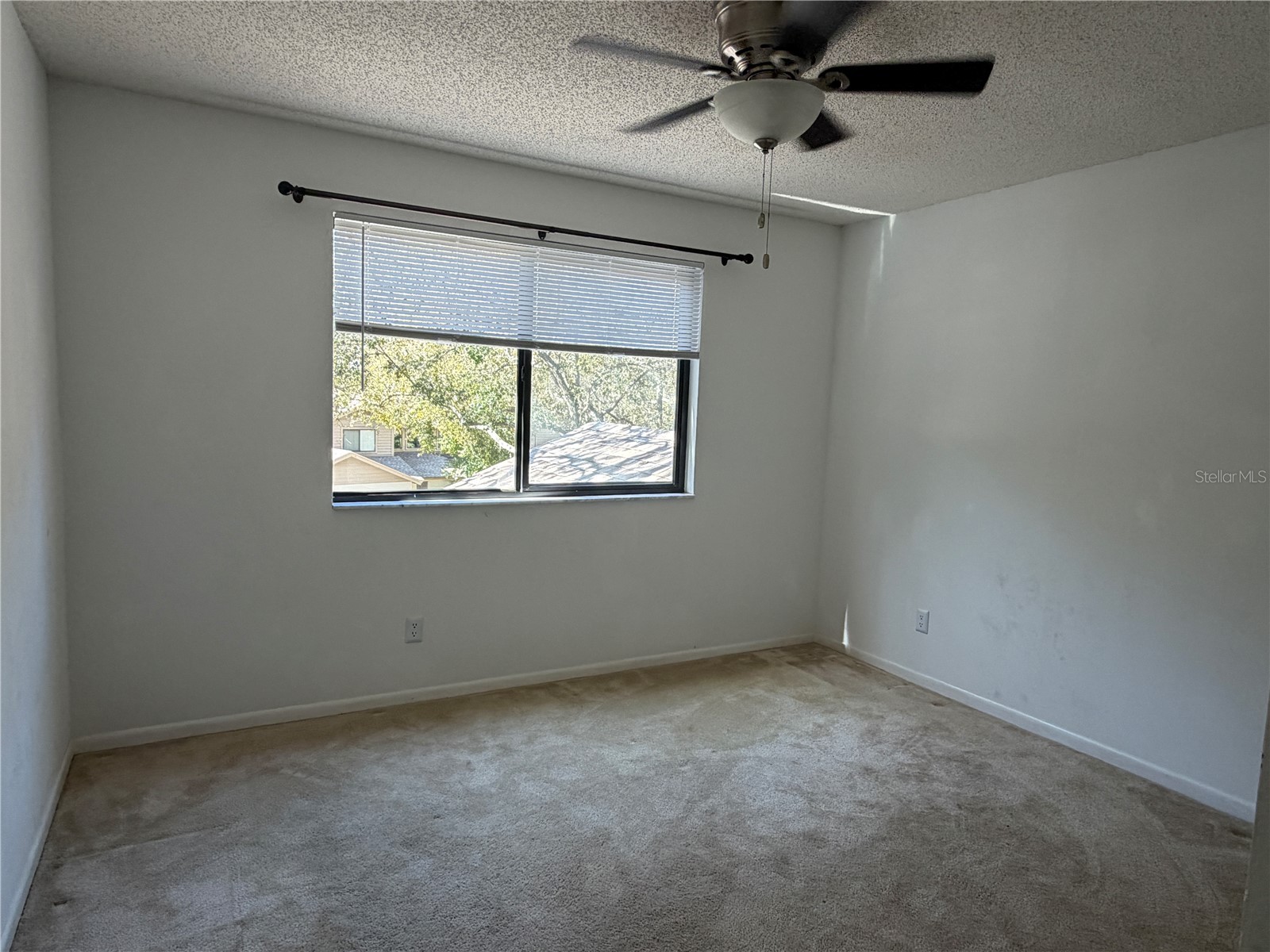 1913 Whispering Way Tarpon Springs FL 34689 W7883425 image17