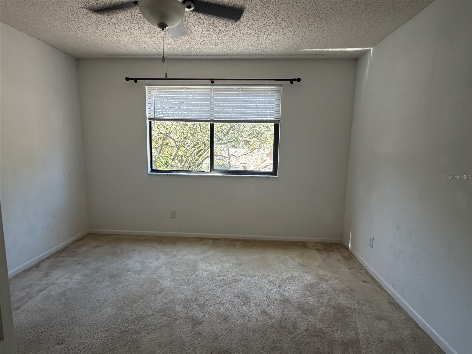 1913 Whispering Way Tarpon Springs FL 34689 W7883425 image19