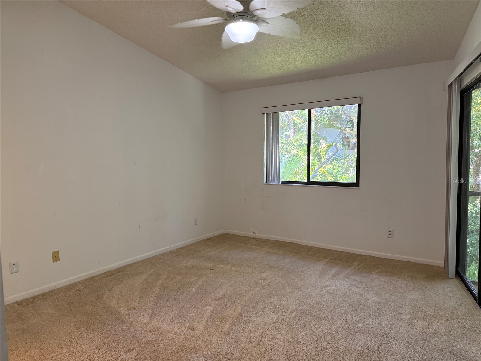 1913 Whispering Way Tarpon Springs FL 34689 W7883425 image21