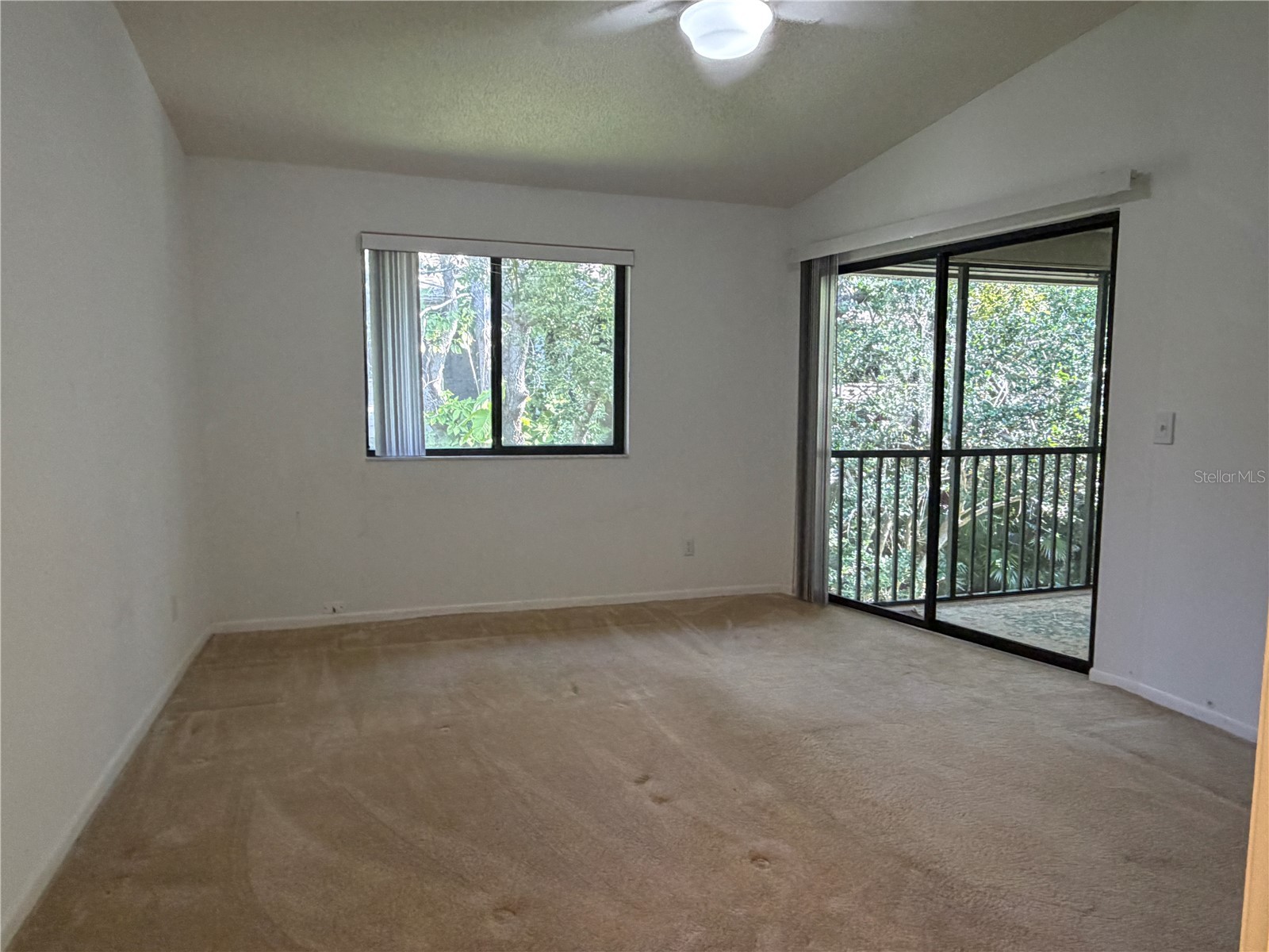 1913 Whispering Way Tarpon Springs FL 34689 W7883425 image25