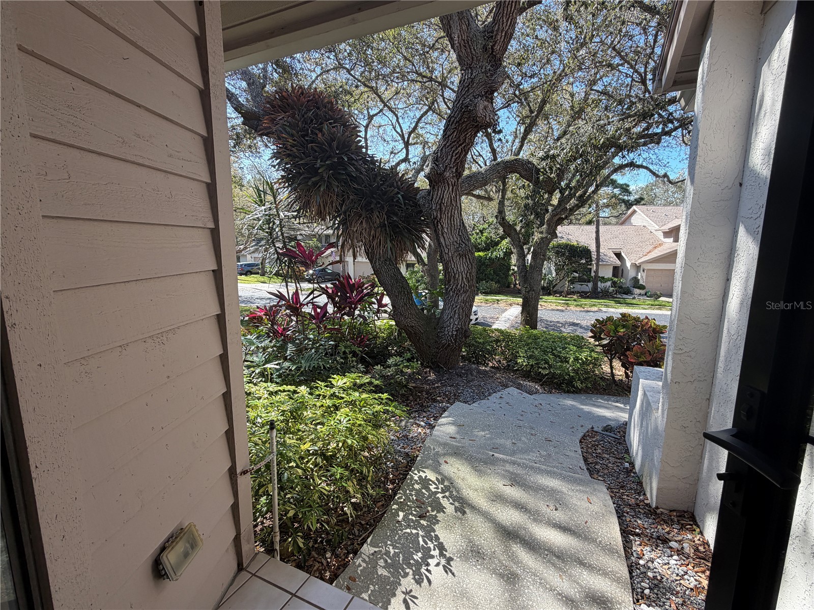 1913 Whispering Way Tarpon Springs FL 34689 W7883425 image30