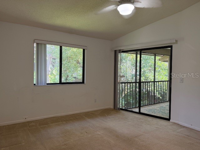 1913 Whispering Way Tarpon Springs FL 34689 W7884933 image12