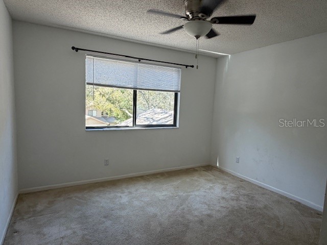 1913 Whispering Way Tarpon Springs FL 34689 W7884933 image13