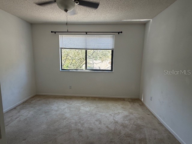 1913 Whispering Way Tarpon Springs FL 34689 W7884933 image15