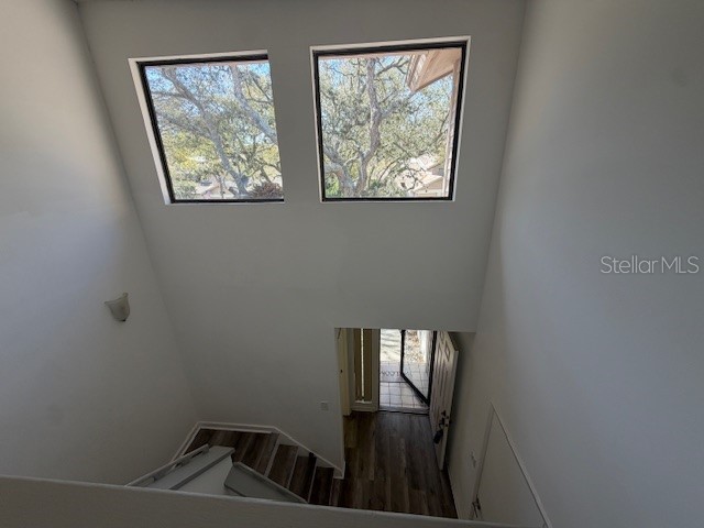 1913 Whispering Way Tarpon Springs FL 34689 W7884933 image26