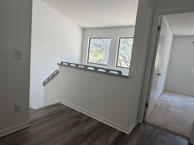 1913 Whispering Way Tarpon Springs FL 34689 W7884933 image27