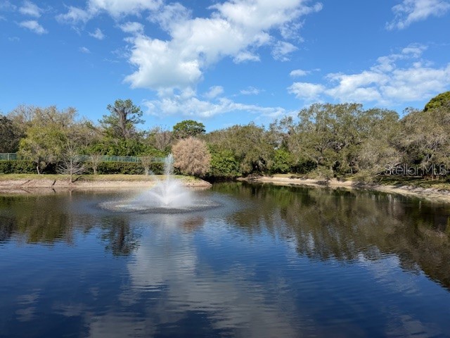 1913 Whispering Way Tarpon Springs FL 34689 W7884933 image32