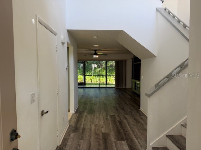 1913 Whispering Way Tarpon Springs FL 34689 W7884933 image9