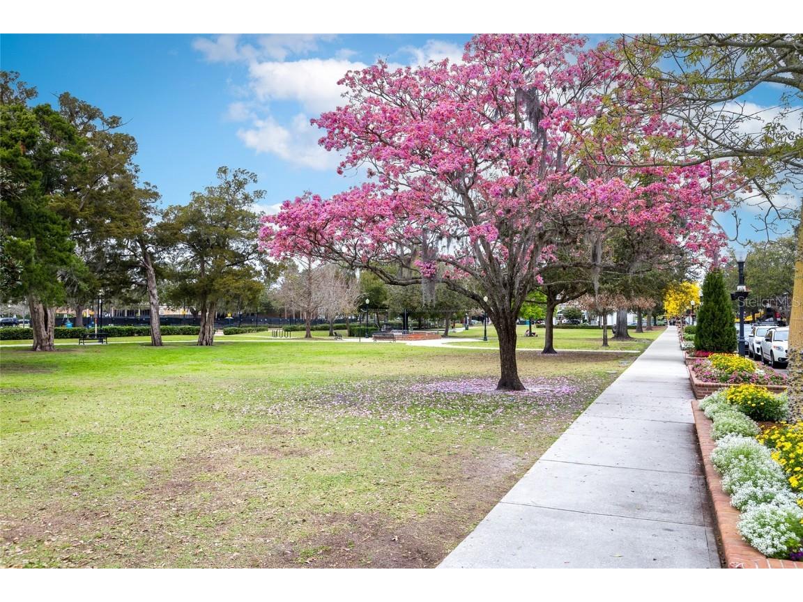 1913 Woodcrest Drive #B Winter Park FL 32792 O6366067 image20