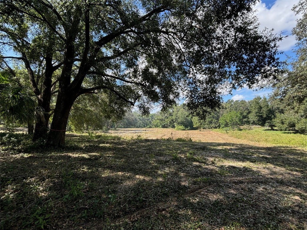 19131 Bridges Glen Lane Clermont FL 34715 O6249421 image1