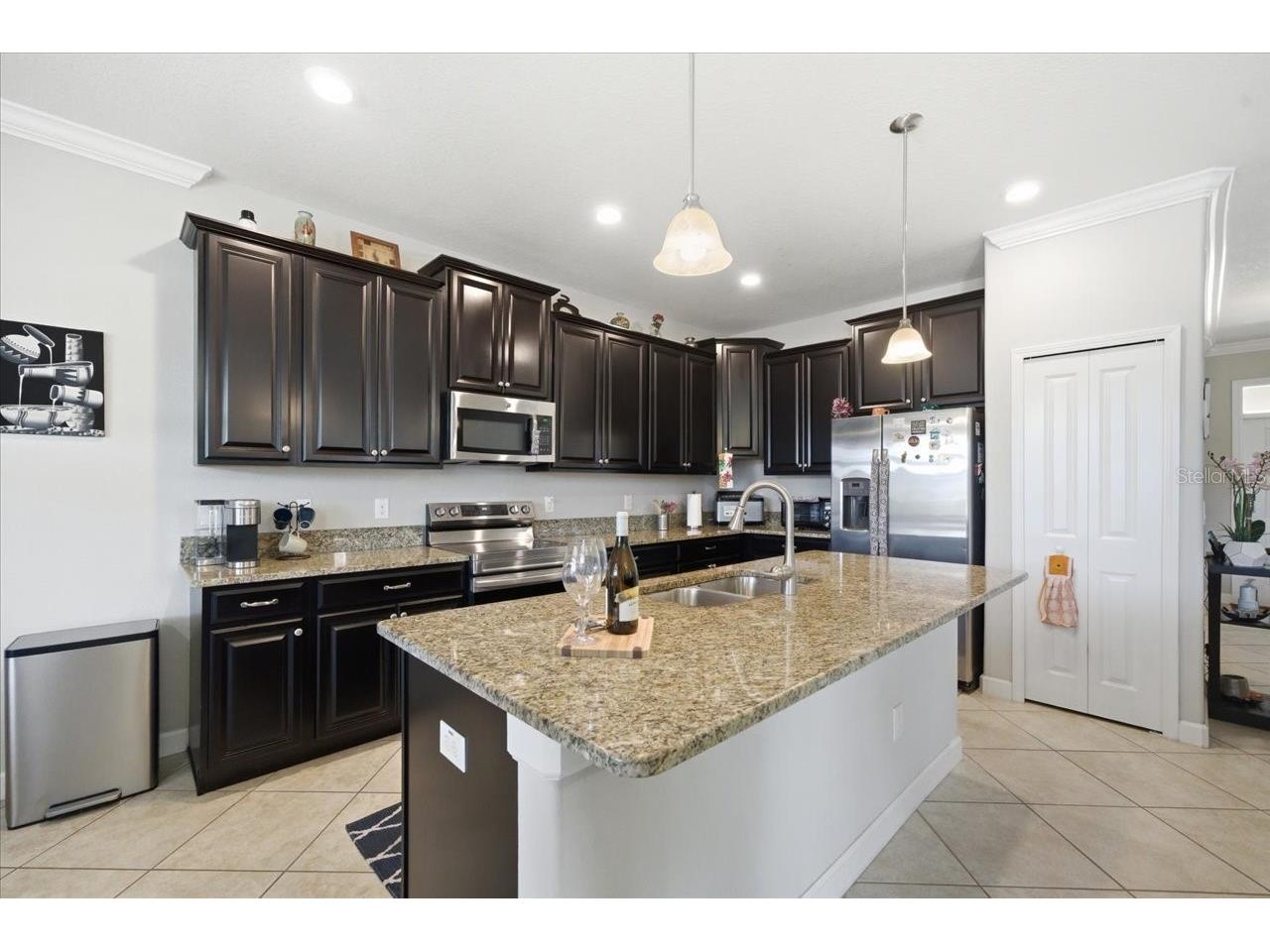 19132 Andrea Lynn Lane Land O Lakes FL 34638 W7886011 image10