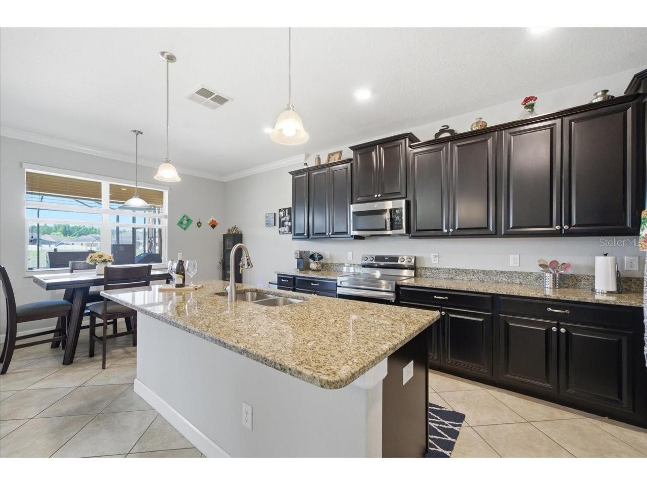 19132 Andrea Lynn Lane Land O Lakes FL 34638 W7886011 image11