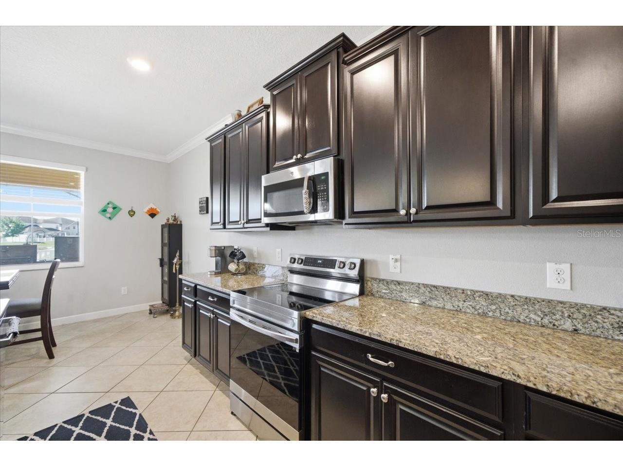 19132 Andrea Lynn Lane Land O Lakes FL 34638 W7886011 image12