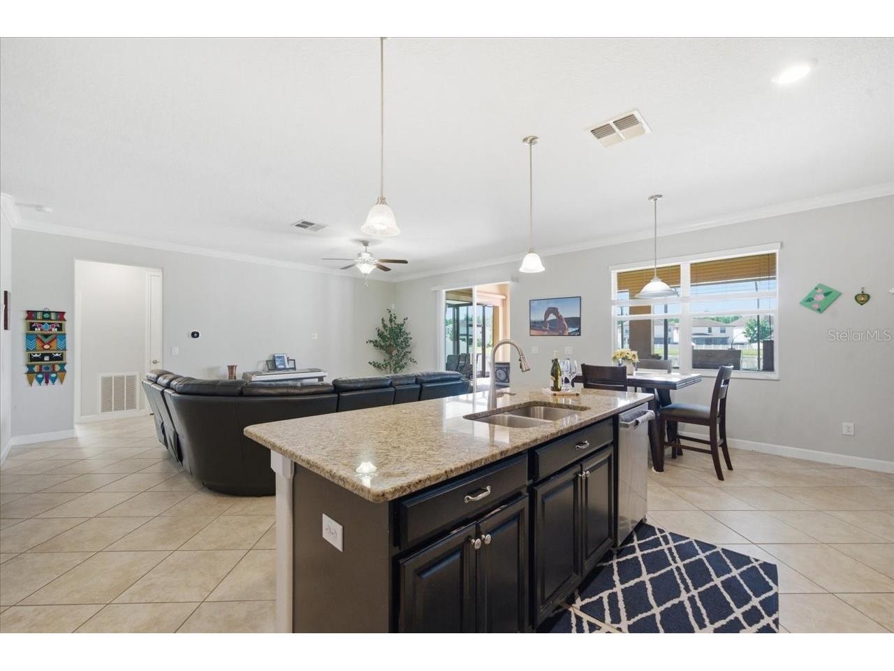 19132 Andrea Lynn Lane Land O Lakes FL 34638 W7886011 image14
