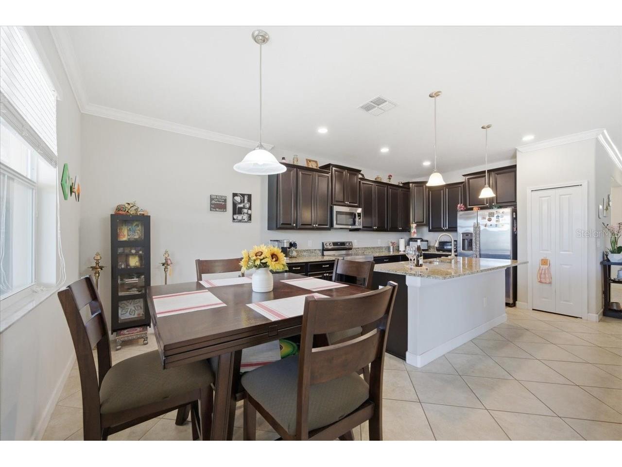 19132 Andrea Lynn Lane Land O Lakes FL 34638 W7886011 image17