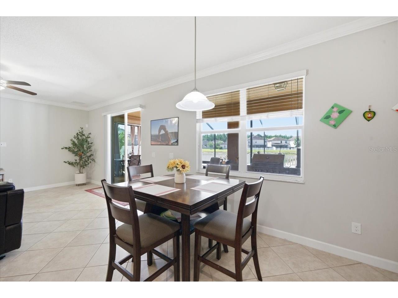 19132 Andrea Lynn Lane Land O Lakes FL 34638 W7886011 image18