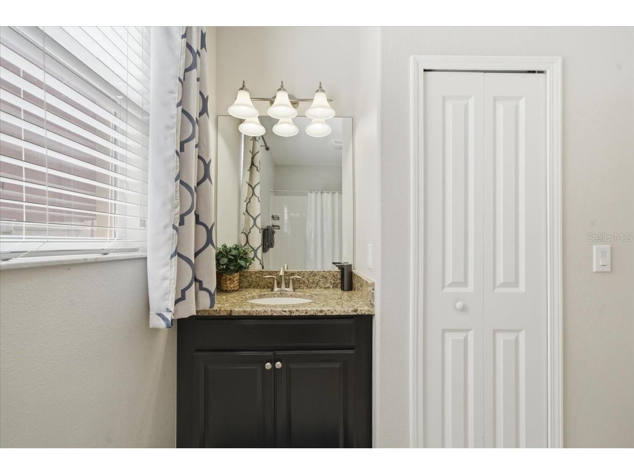 19132 Andrea Lynn Lane Land O Lakes FL 34638 W7886011 image38