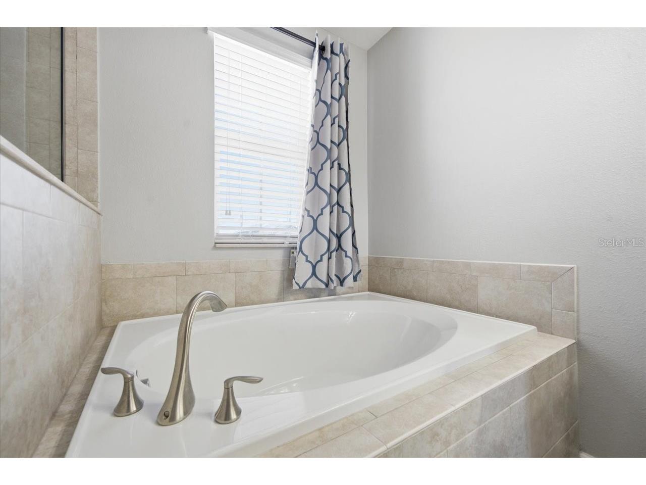 19132 Andrea Lynn Lane Land O Lakes FL 34638 W7886011 image39