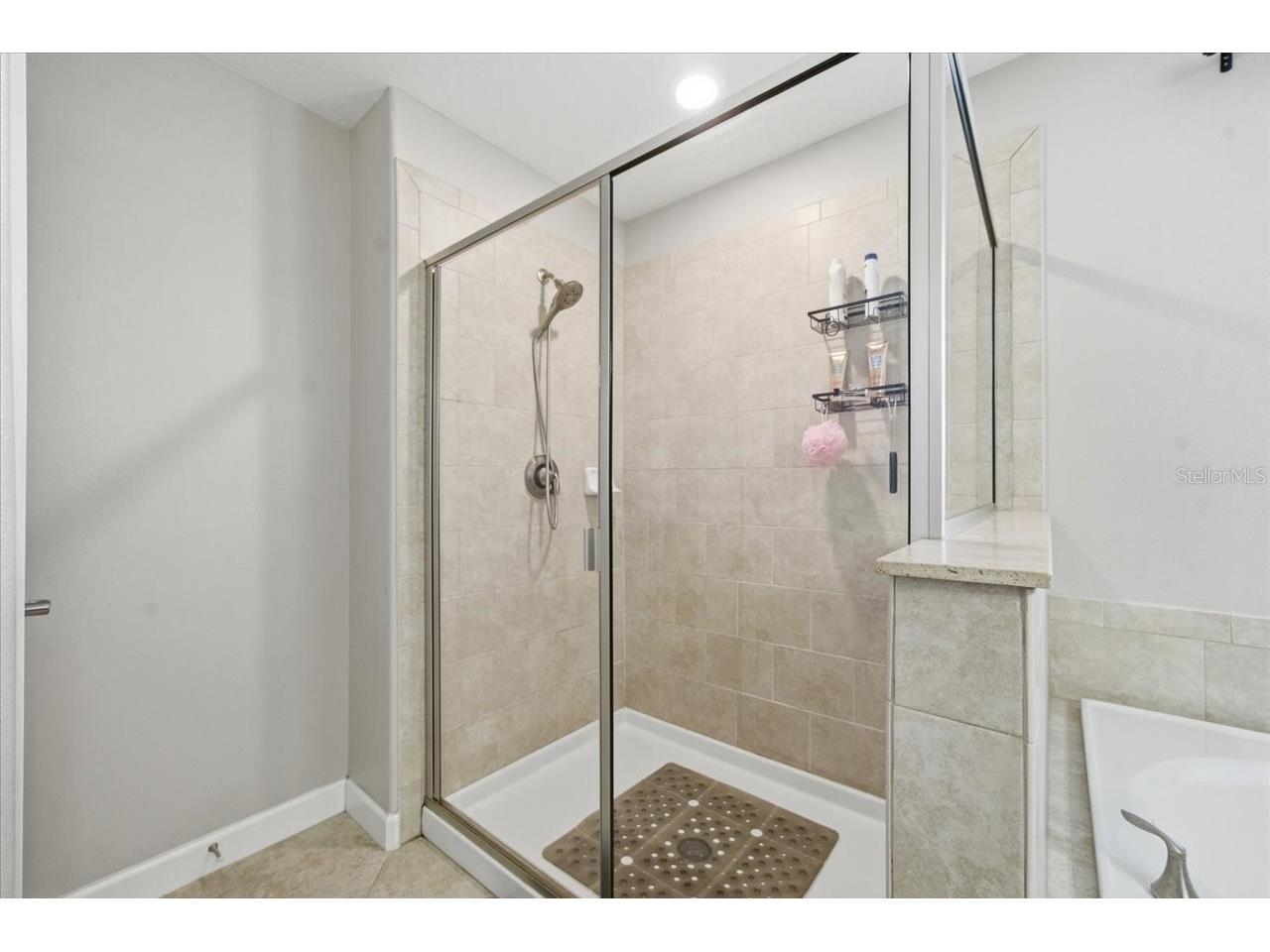 19132 Andrea Lynn Lane Land O Lakes FL 34638 W7886011 image40