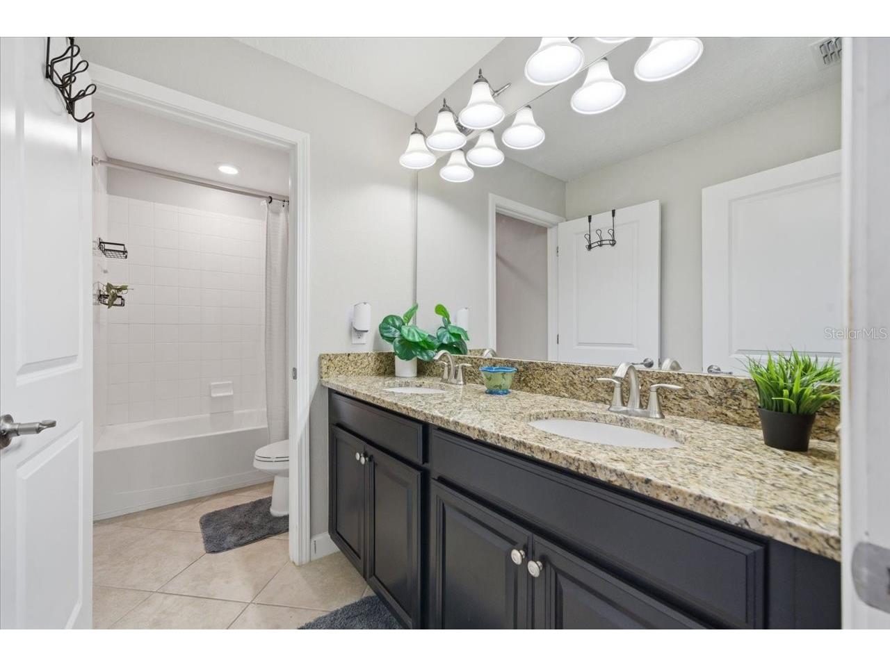 19132 Andrea Lynn Lane Land O Lakes FL 34638 W7886011 image41