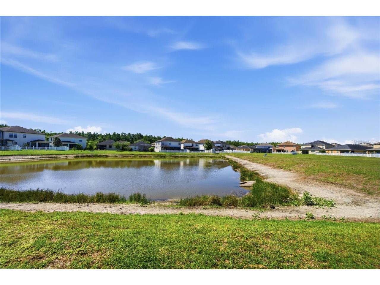 19132 Andrea Lynn Lane Land O Lakes FL 34638 W7886011 image58
