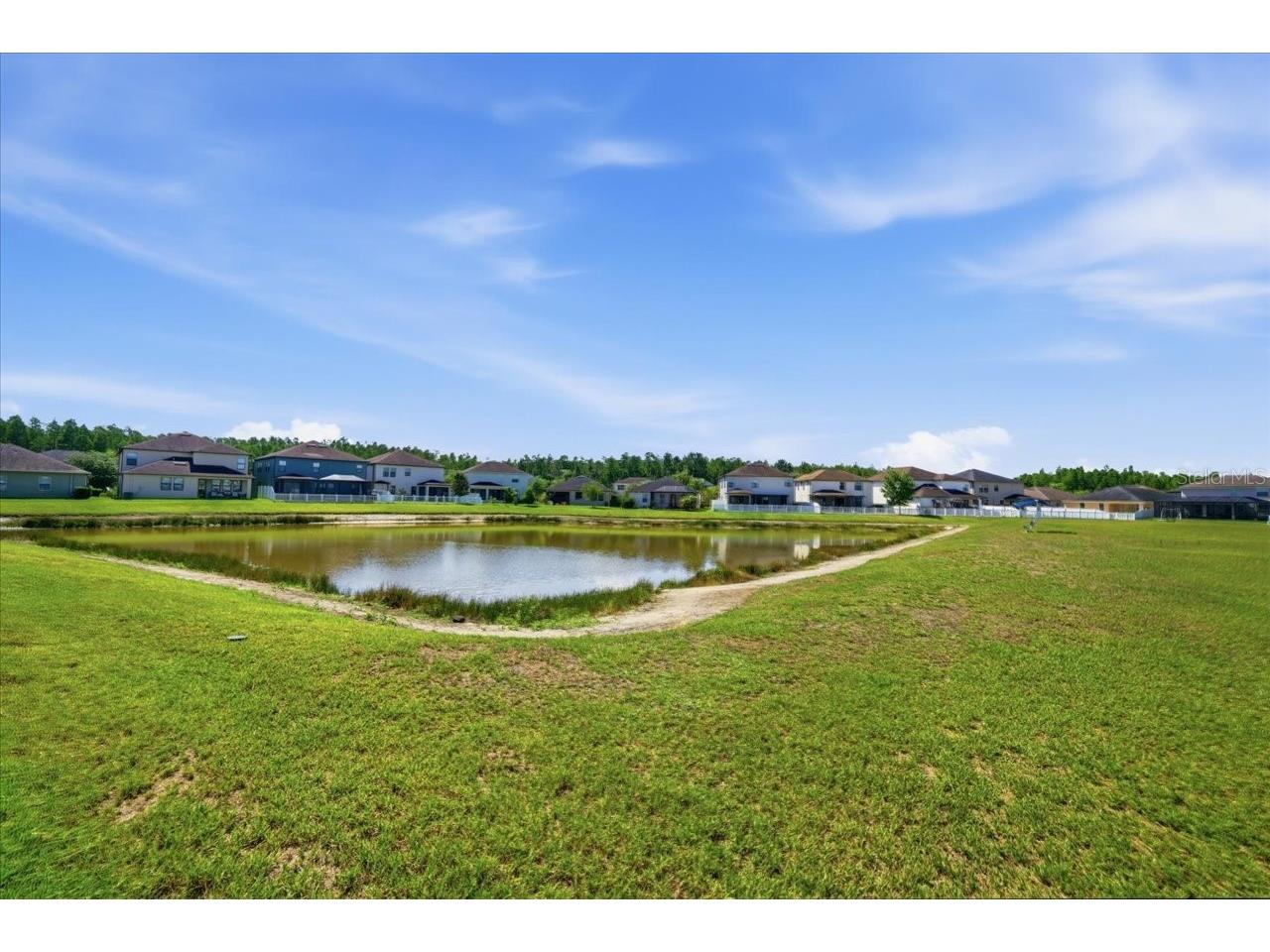19132 Andrea Lynn Lane Land O Lakes FL 34638 W7886011 image59