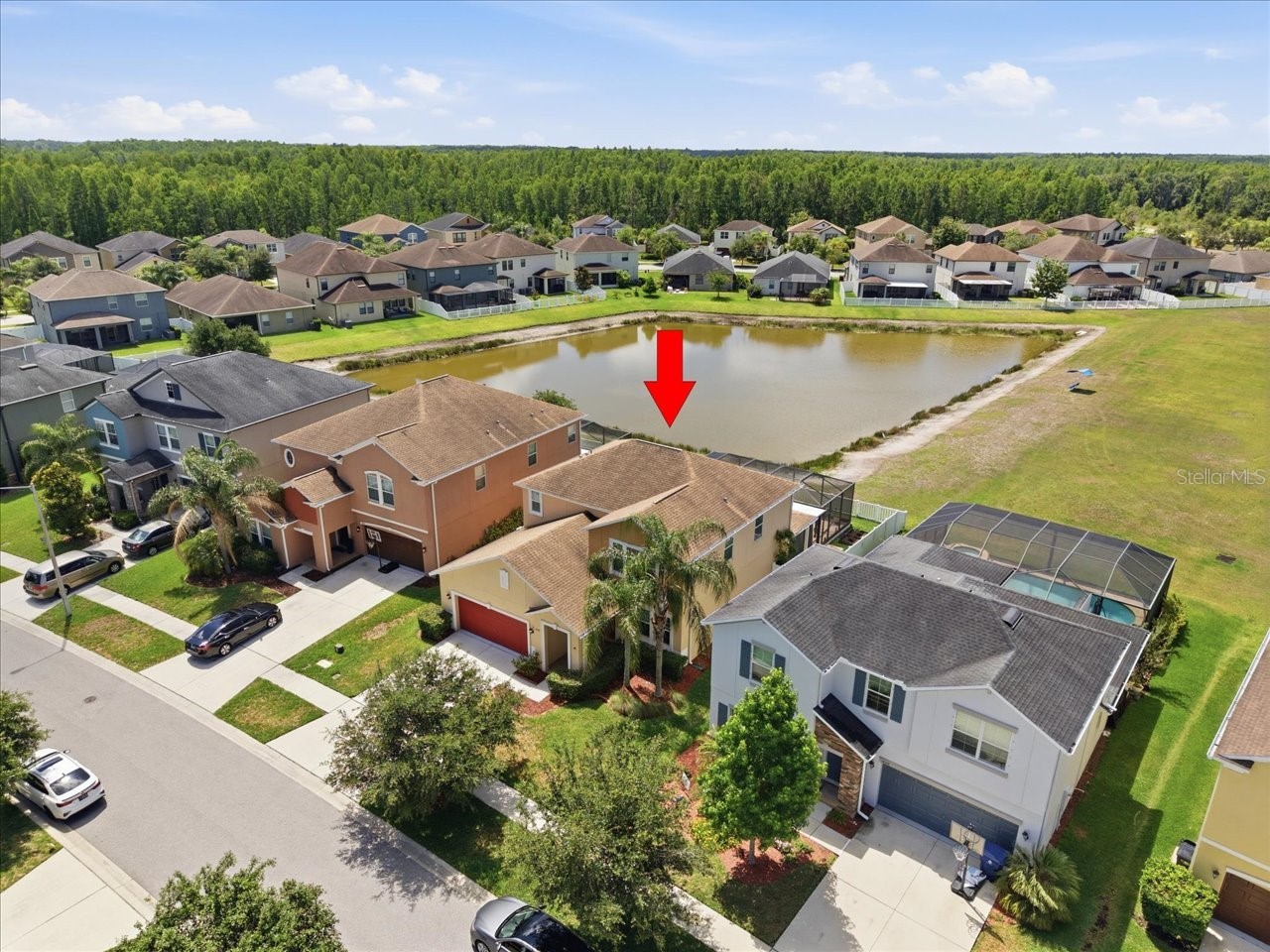 19132 Andrea Lynn Lane Land O Lakes FL 34638 W7886011 image60