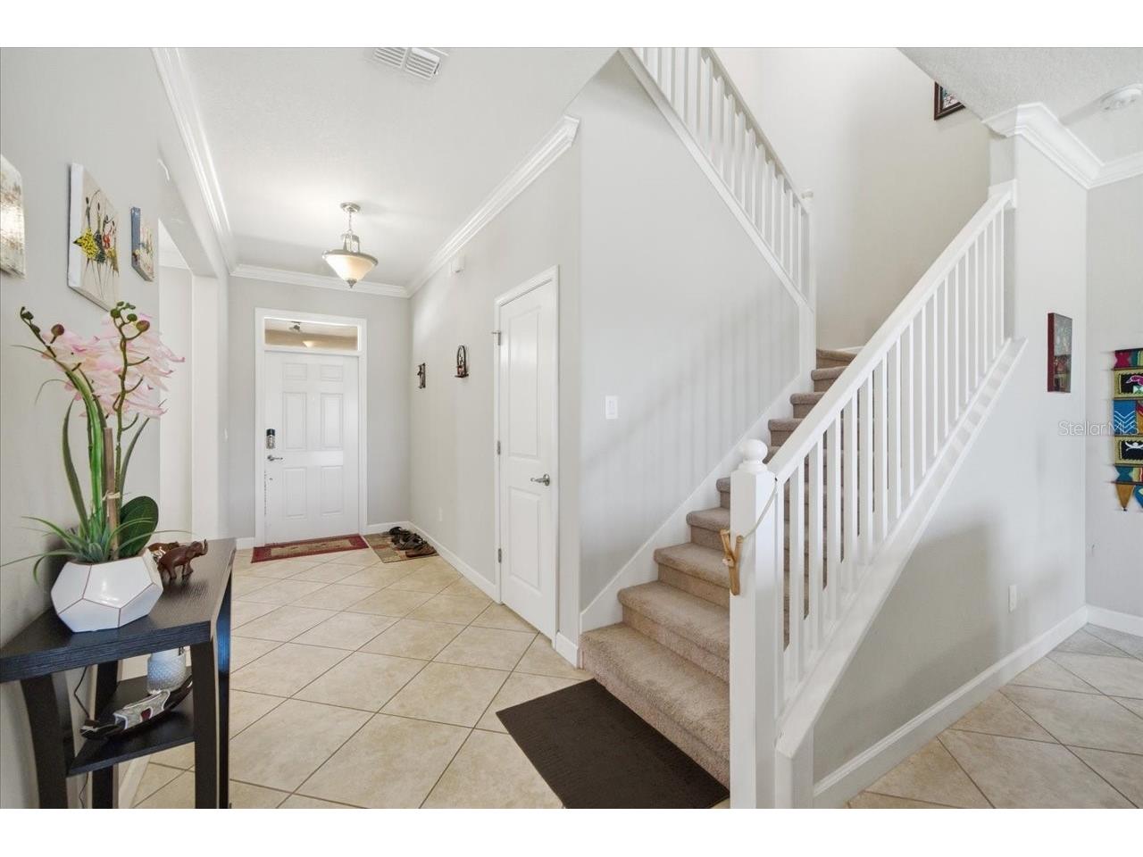 19132 Andrea Lynn Lane Land O Lakes FL 34638 W7886011 image7