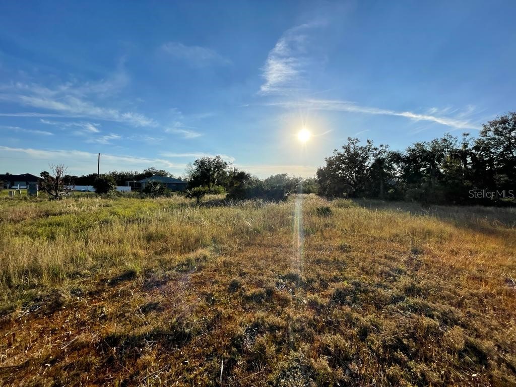 19132 Wilton Avenue Port Charlotte FL 33954 S5074798 image1