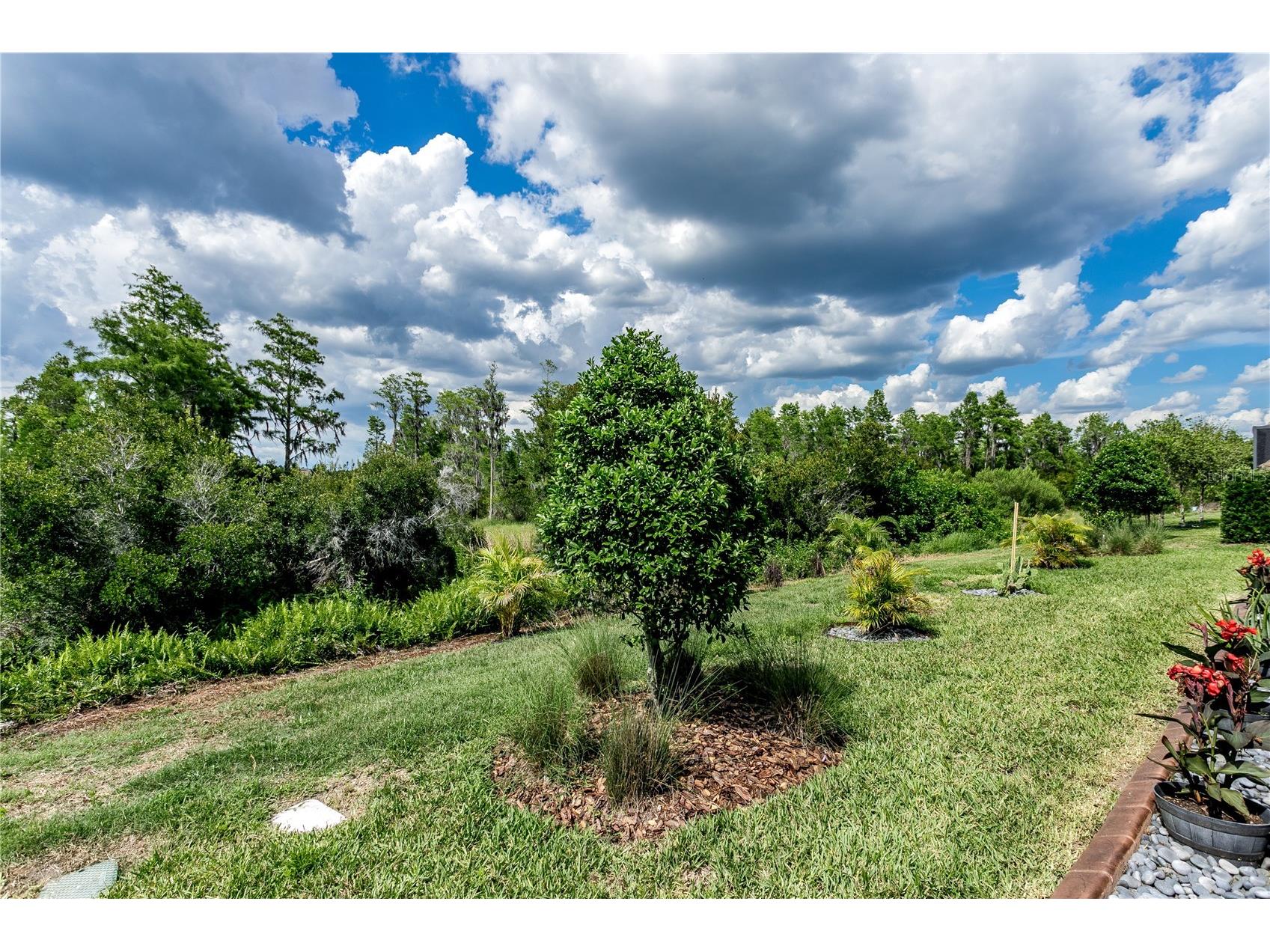 19133 Ship Wheel Way Land O Lakes FL 34638 TB8511679 image27