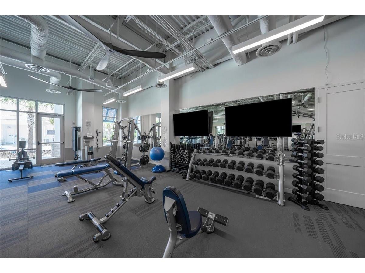 19133 Ship Wheel Way Land O Lakes FL 34638 TB8511679 image41