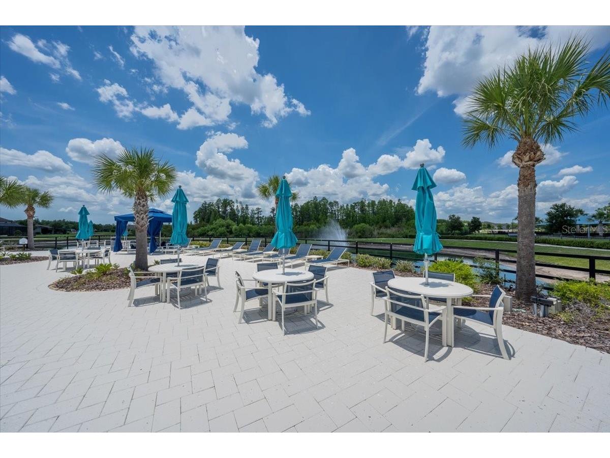 19133 Ship Wheel Way Land O Lakes FL 34638 TB8511679 image50