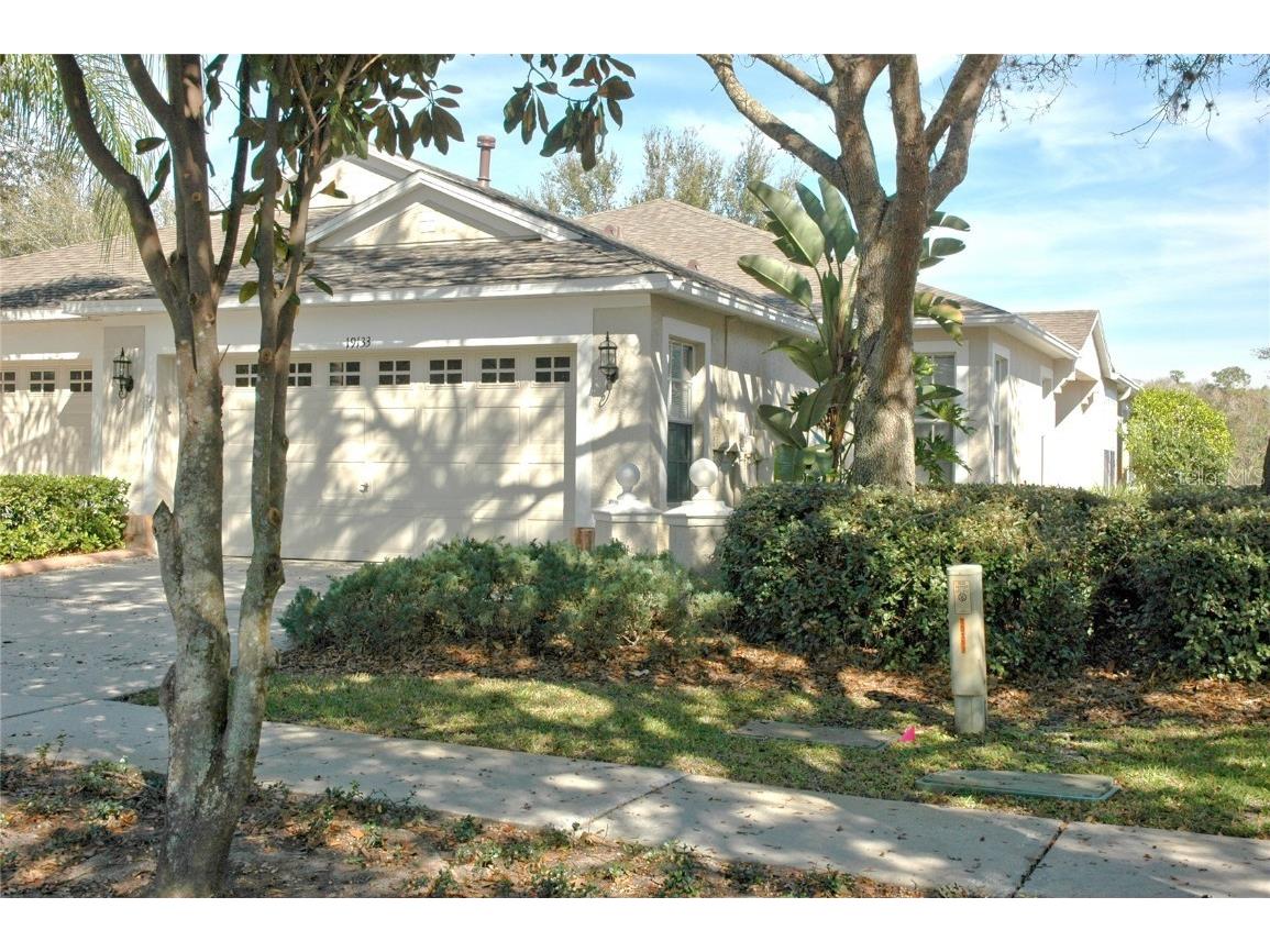 19133 White Wing Place Tampa FL 33647 T3527879 image1