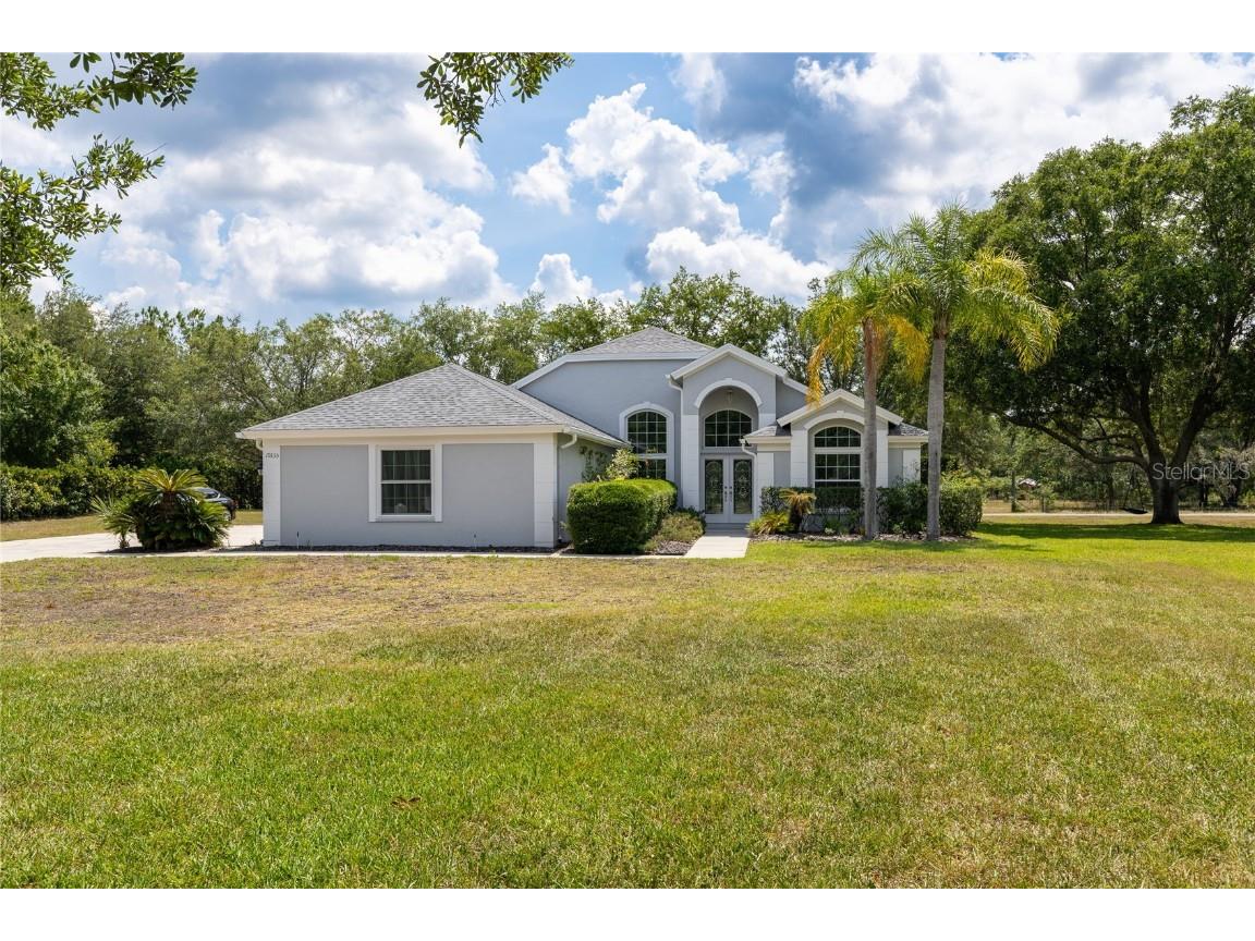 19135 Beckett Drive Odessa FL 33556 U8242607 image1