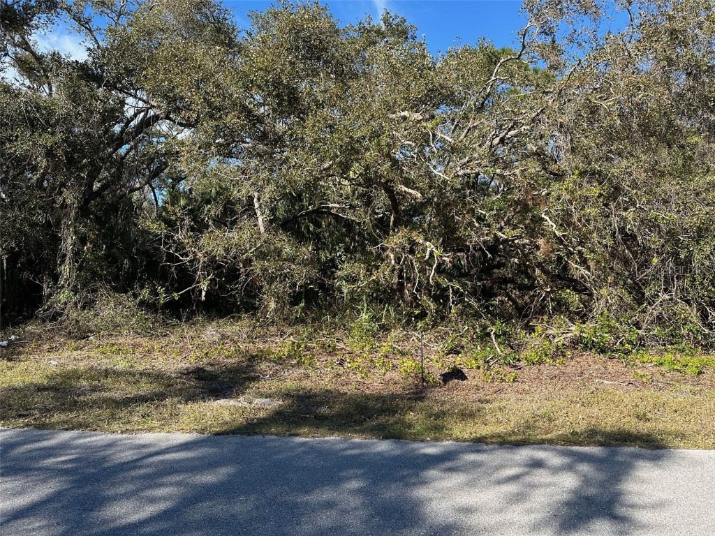 19136 Addison Avenue Port Charlotte FL 33954 N6131192 image1