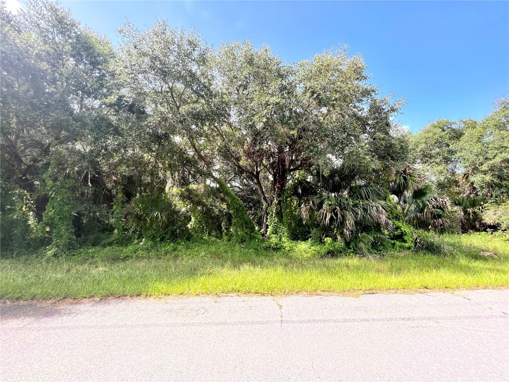 19136 Ruskin Avenue Port Charlotte FL 33954 C7516479 image1
