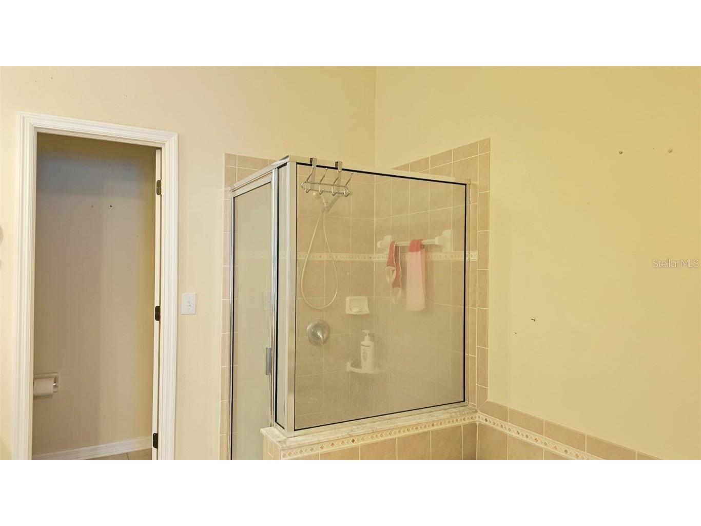 19136 Weymouth Drive Land O Lakes FL 34638 TB8452139 image14