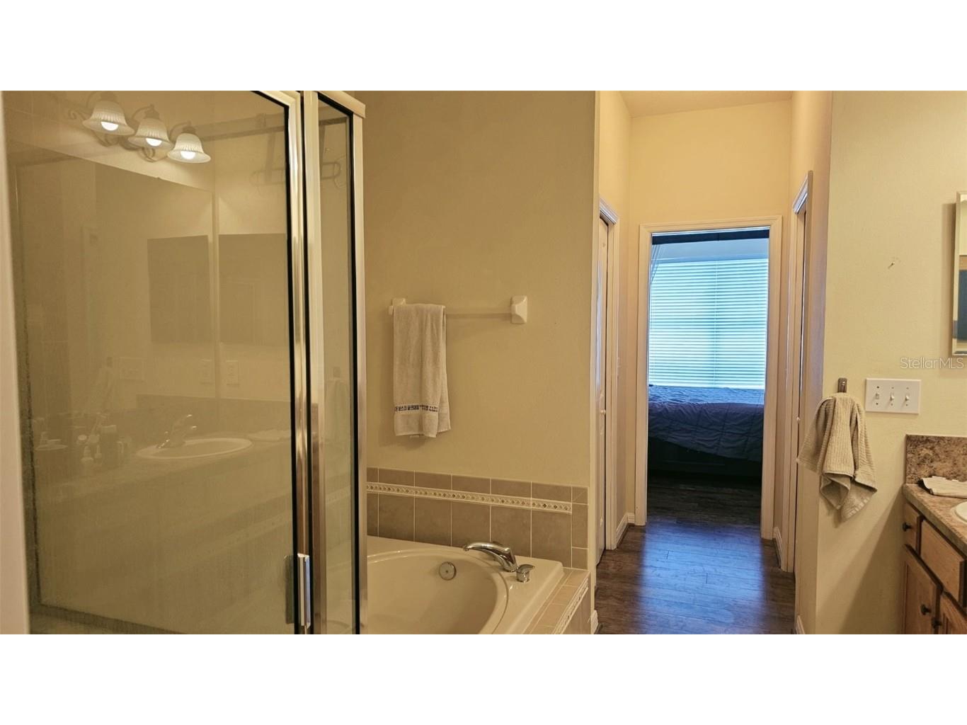 19136 Weymouth Drive Land O Lakes FL 34638 TB8452139 image15