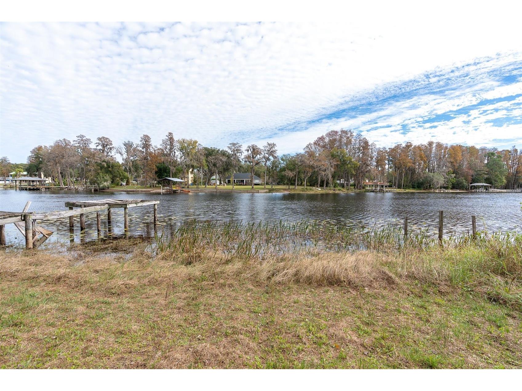 19137 Gunn Highway Odessa FL 33556 - LAKE WOOD W7881689 image12