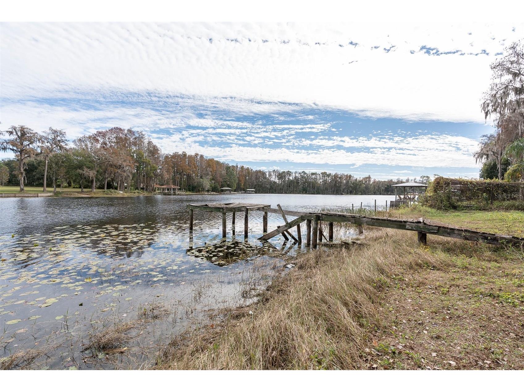 19137 Gunn Highway Odessa FL 33556 - LAKE WOOD W7881689 image13