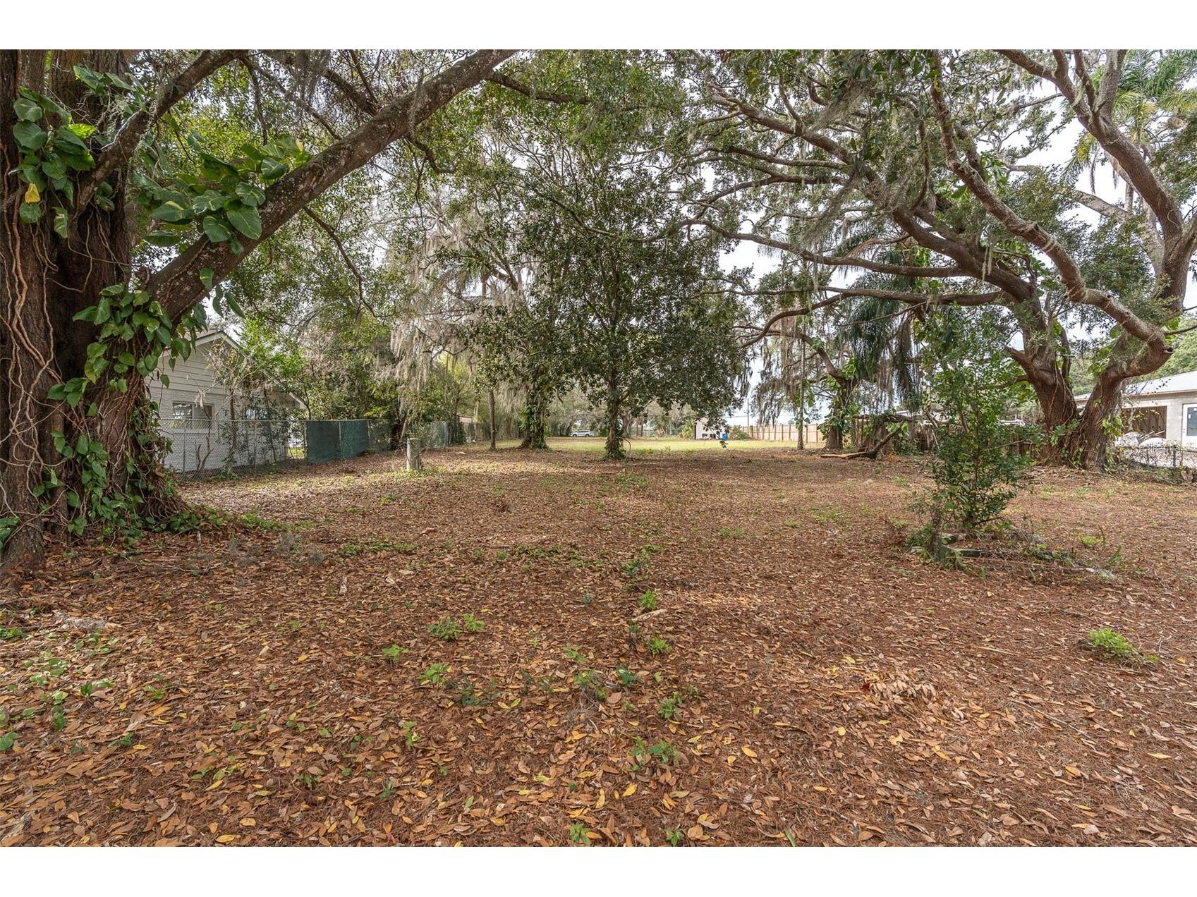 19137 Gunn Highway Odessa FL 33556 - LAKE WOOD W7881689 image4