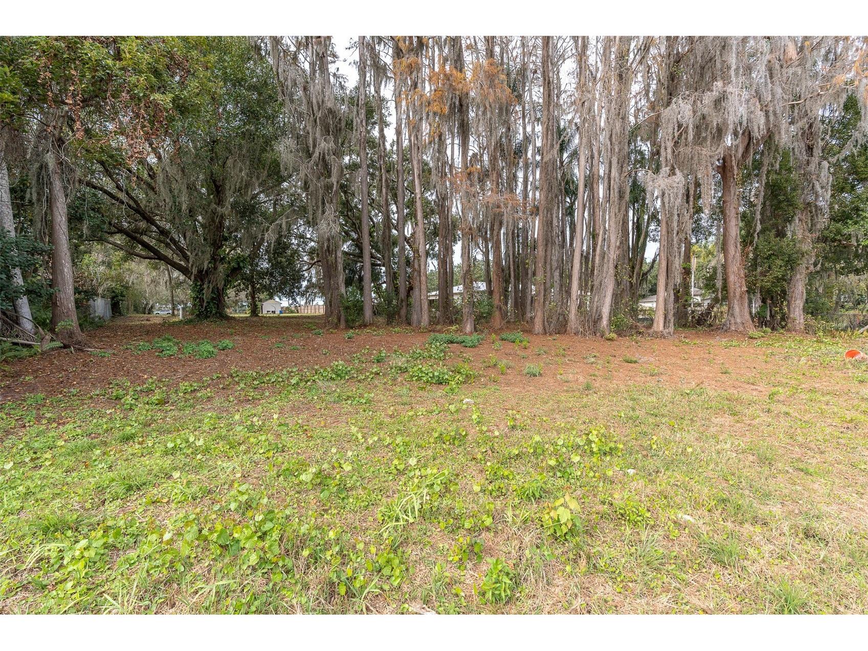 19137 Gunn Highway Odessa FL 33556 - LAKE WOOD W7881689 image6