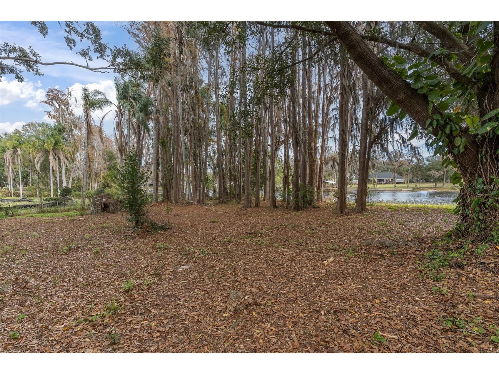19137 Gunn Highway Odessa FL 33556 - LAKE WOOD W7881689 image7