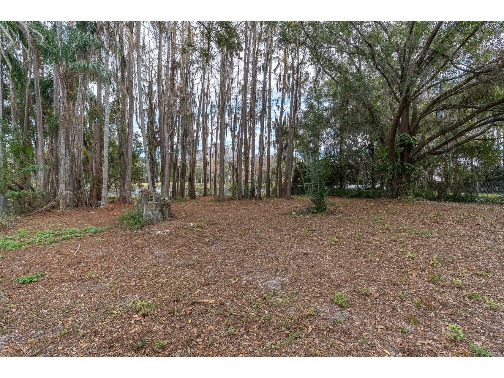 19137 Gunn Highway Odessa FL 33556 - LAKE WOOD W7881689 image8