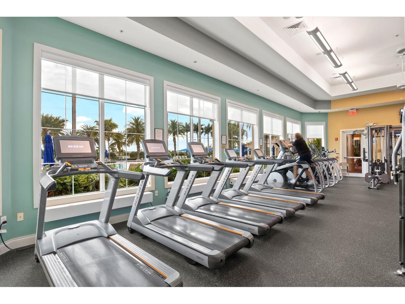 19138 Kirella Street Venice FL 34293 N6142683 image56