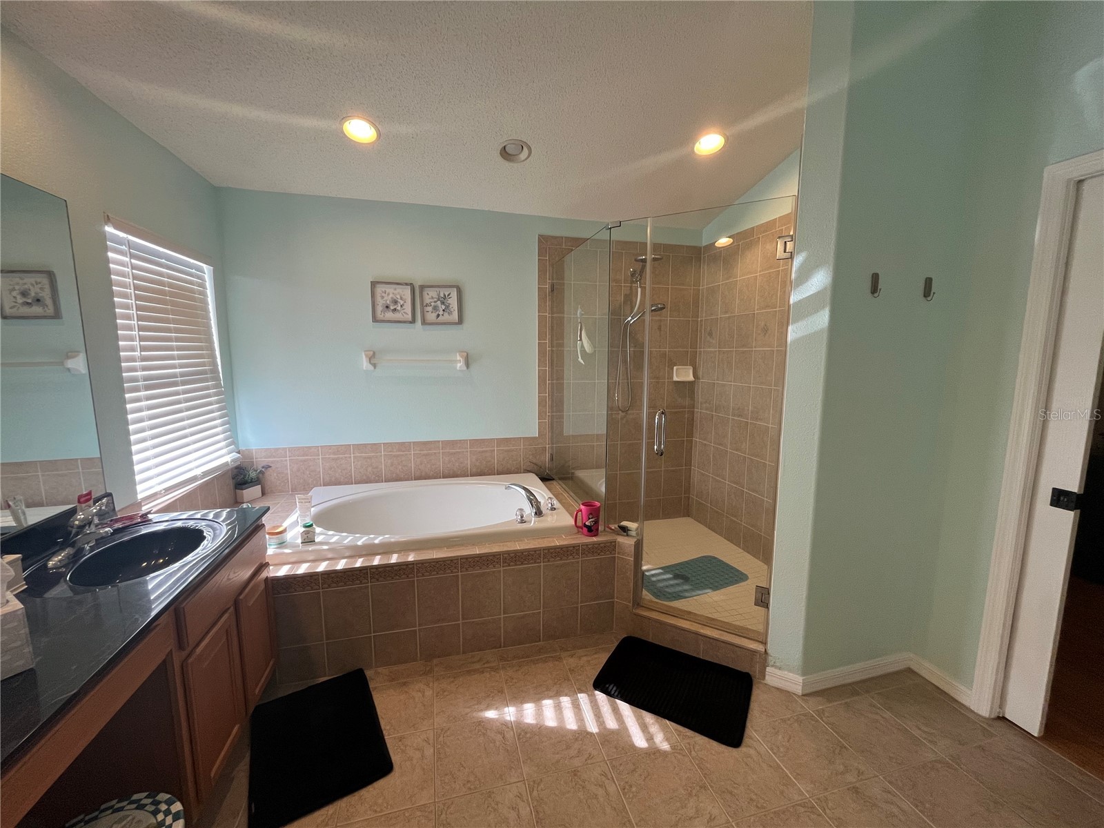 1914 Oswego Drive Holiday FL 34691 W7883046 image26